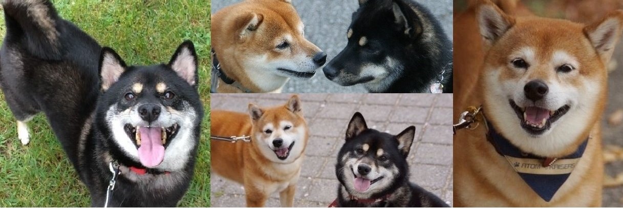 atomdaisuki's profile banner image