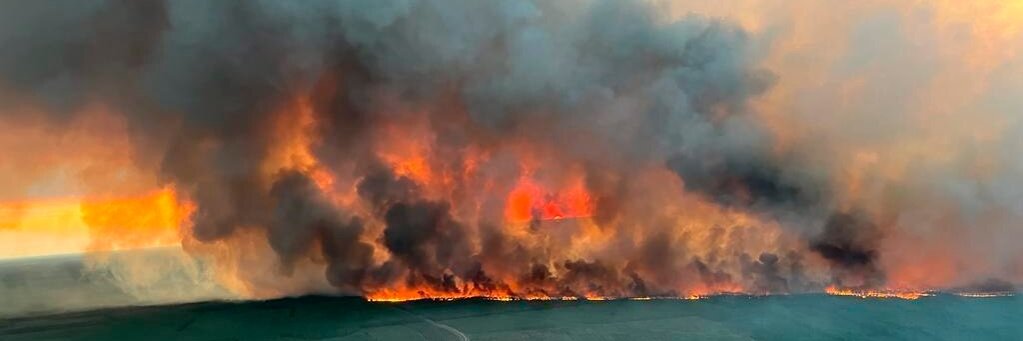 Lilian Vallet 🔥🌳 banner