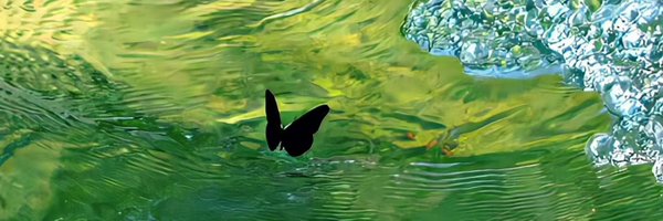 choc07_ Profile Banner