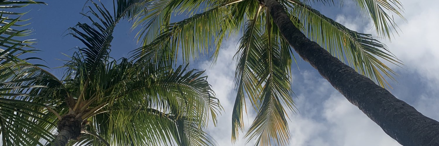 nmw33's profile banner image