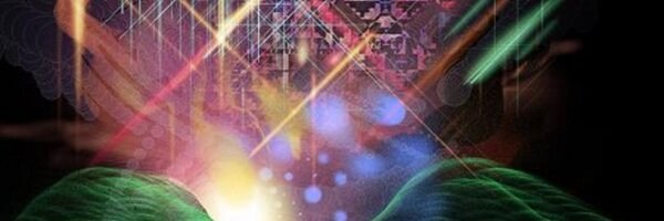 RootwireFest Profile Banner