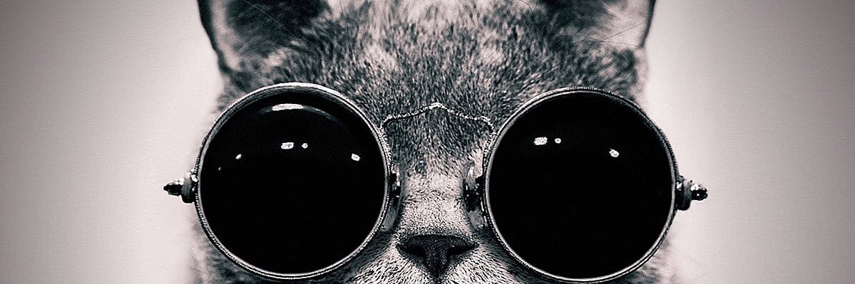 Seckybu's profile banner image