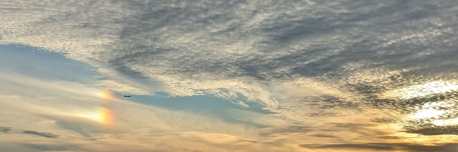 _ banner