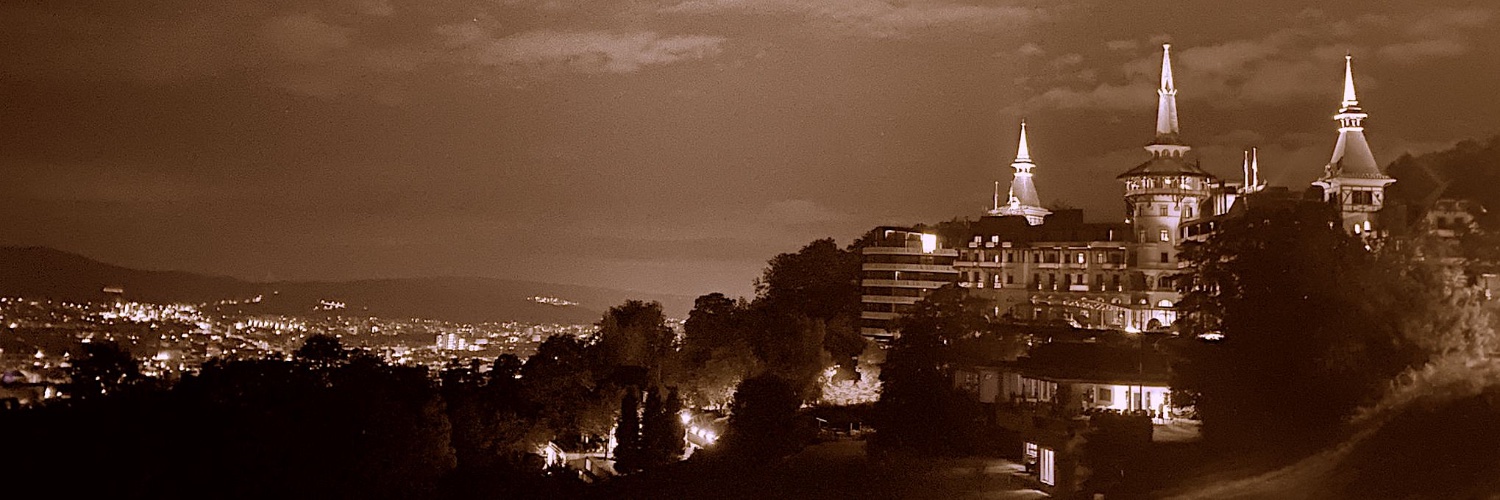 Der Überdenker banner