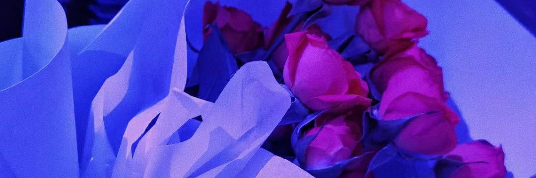 💜软甜糯米糍💜 banner