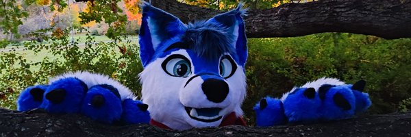 RainyChiko Profile Banner