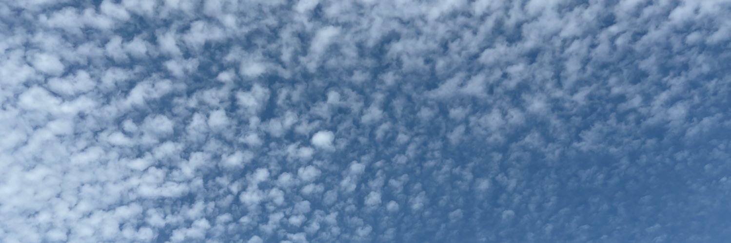 kogi_n's profile banner image
