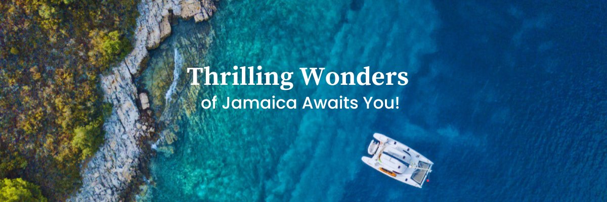Unique Tours Jamaica Radar banner
