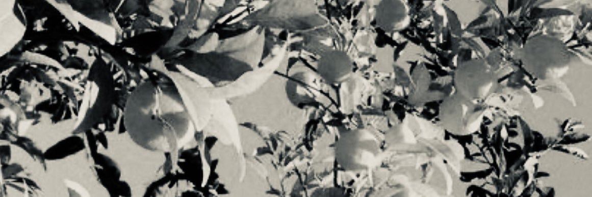 fickyabih's profile banner image