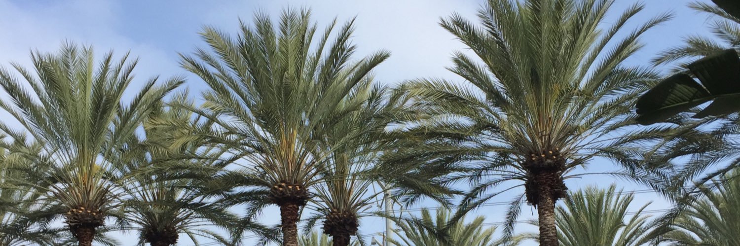 I Love 1st Grade banner