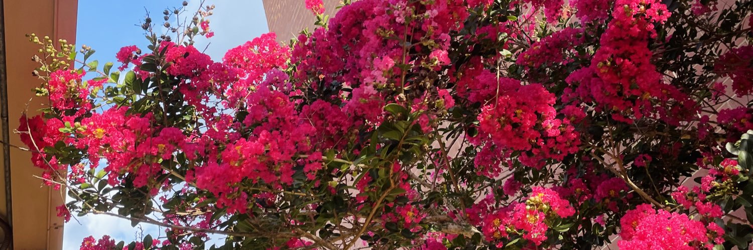 katelynwhitee's profile banner image