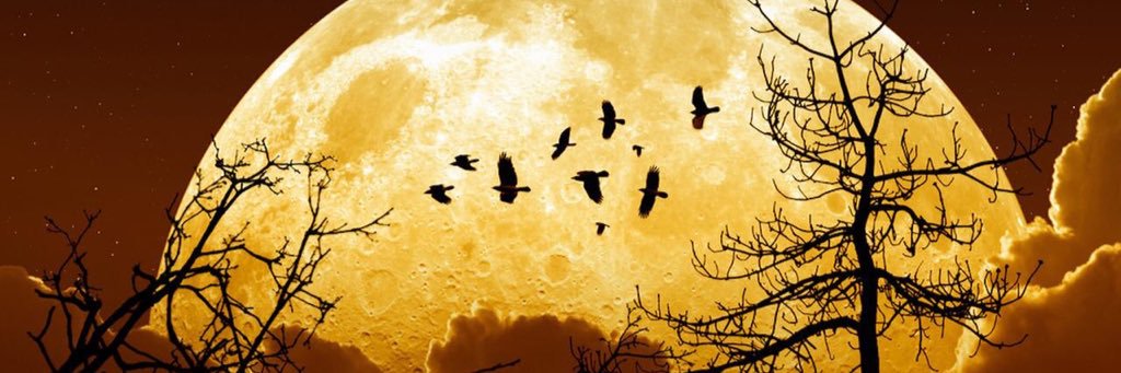 S_Mohammed_F's profile banner image