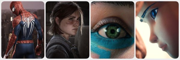 Nim_VGP Profile Banner