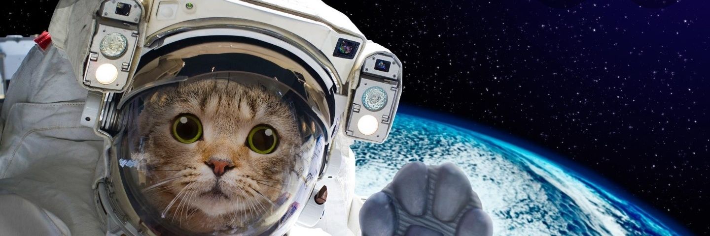 SpaceCat banner