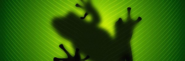 gafter Profile Banner