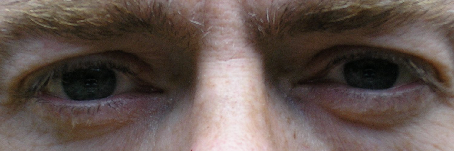 amsterdamred - ☮️☮️🇺🇦🇺🇦 🐦🐦🏳️‍🌈🏳️‍🌈 banner