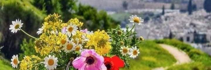 صلاح الصياح banner