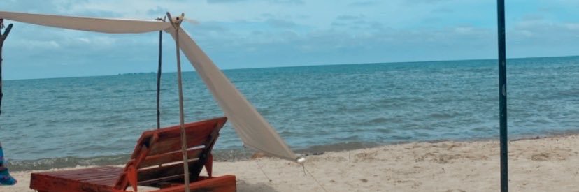 TT81401339's profile banner image