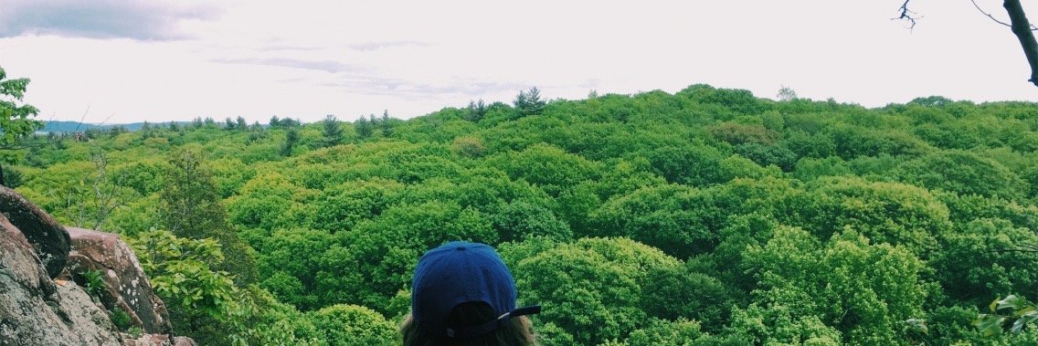 ReginaFinn9's profile banner image