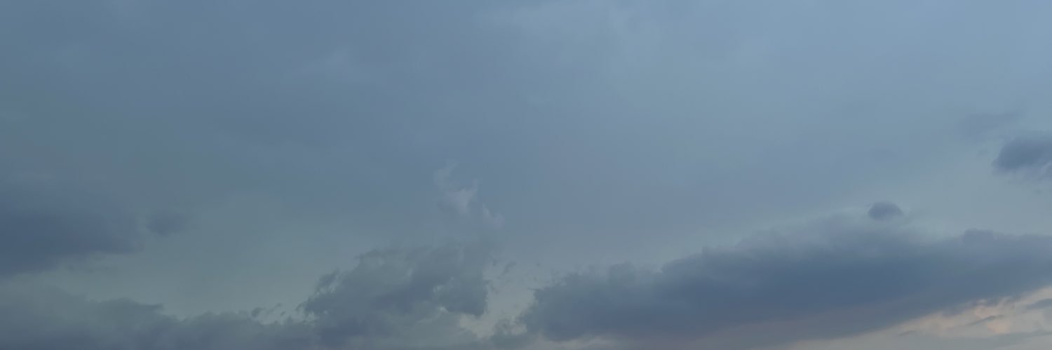 sarinotsrry's profile banner image