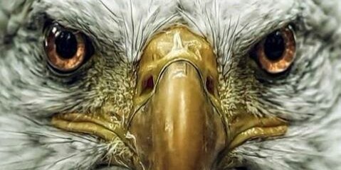 Bharathkumar056's profile banner image