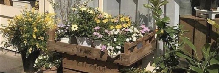 𝐚𝐧 | rest banner