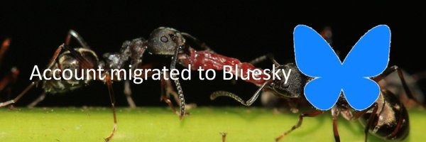 SanmartinVillar Profile Banner