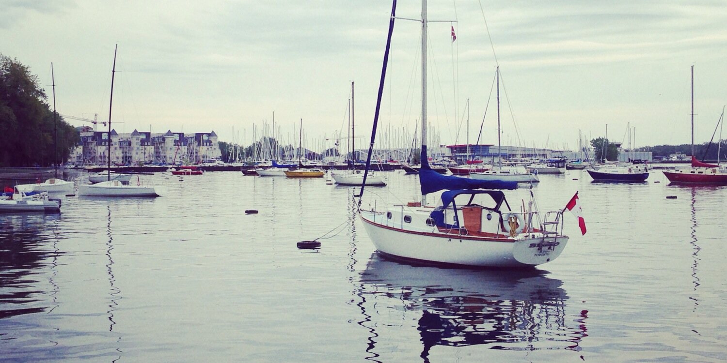 Afshin Mousavian (he/him) banner