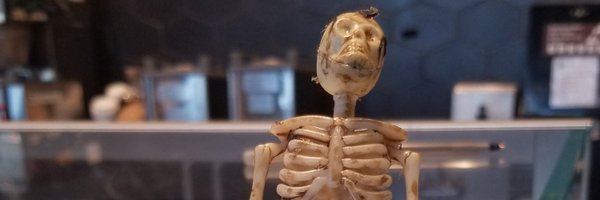 wexellor Profile Banner