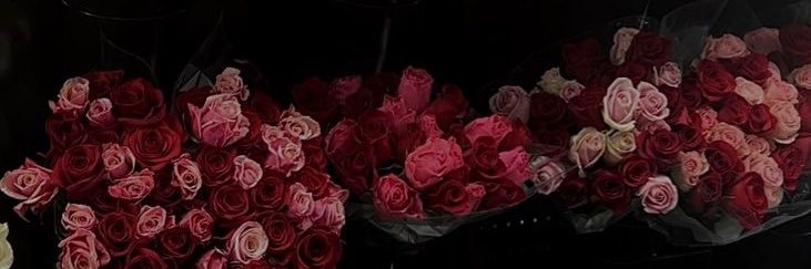 vianna_lee's profile banner image