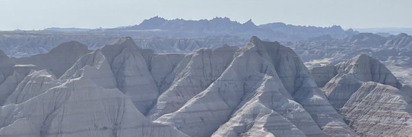 starkicus Profile Banner