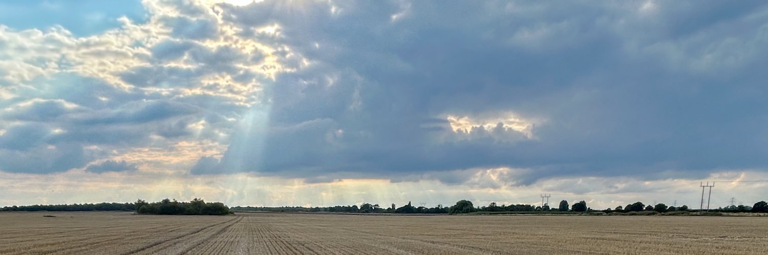 yorkdetectorist's profile banner image