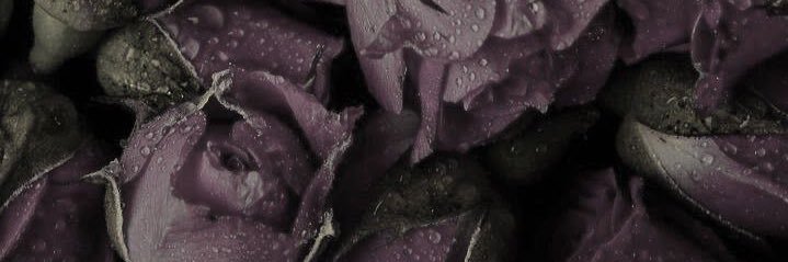 Синий Птиц🐦 banner