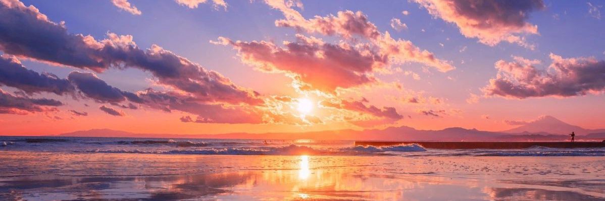 Romina banner