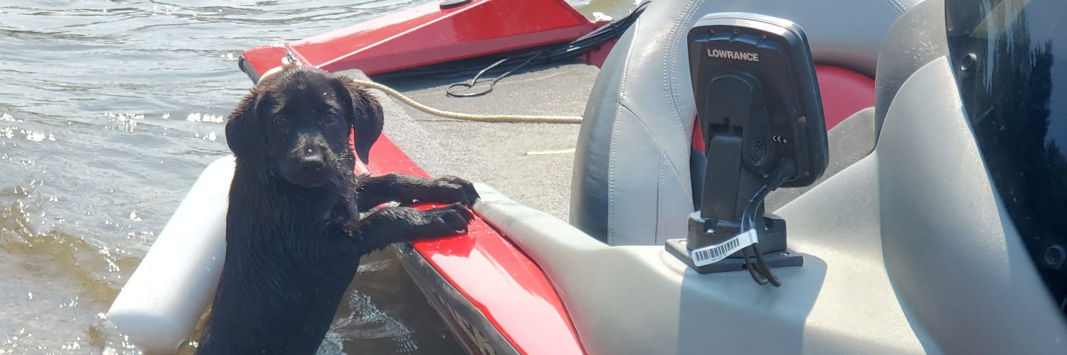 Foo Dog 🇨🇦 banner