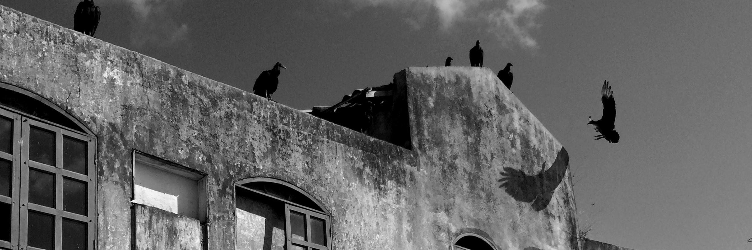 Benjamin Braden banner