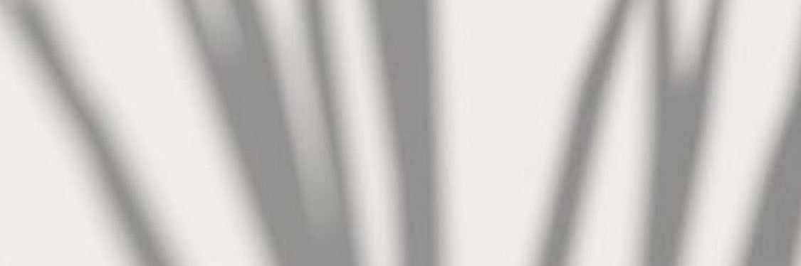 naif2e's profile banner image