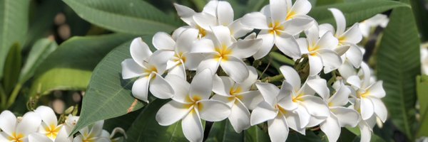 coachmccloud Profile Banner