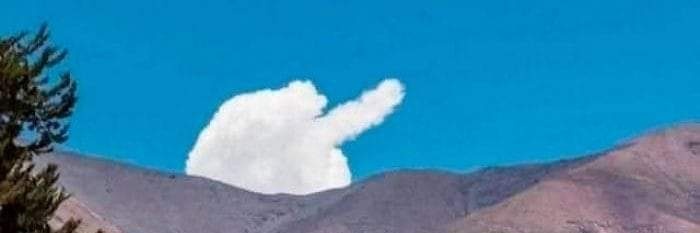 NorCal Conservative banner