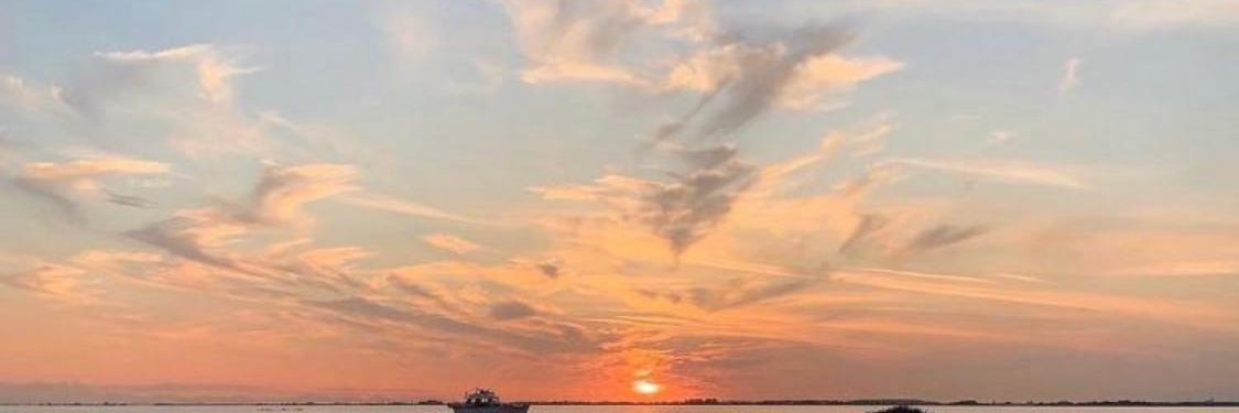 swap ♡ (18+) banner