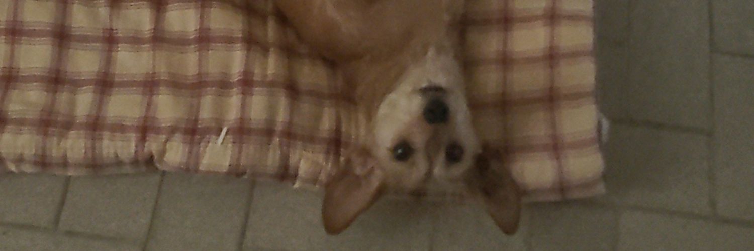 ErrecartJuan's profile banner image
