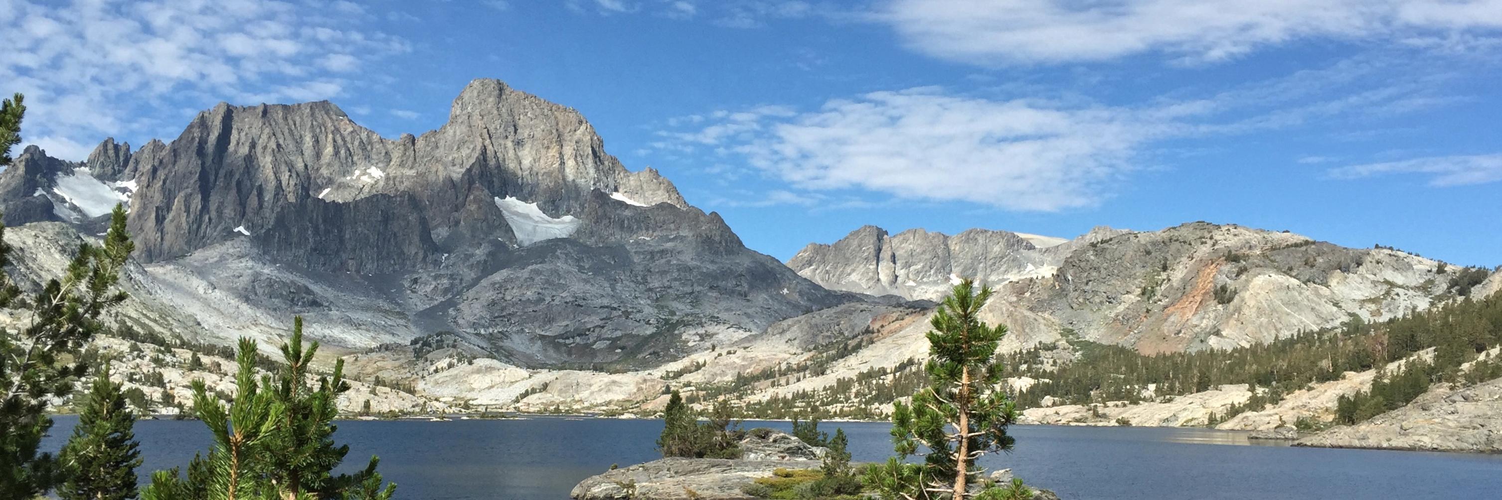 Rachel Cushing Levine banner