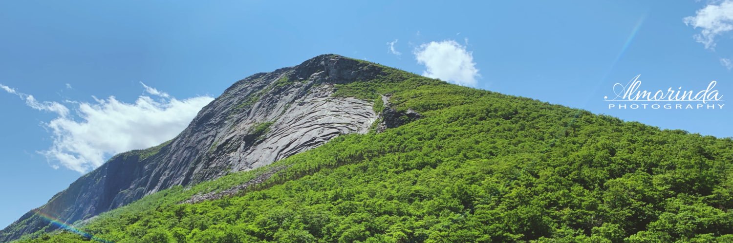 almorinda's profile banner image