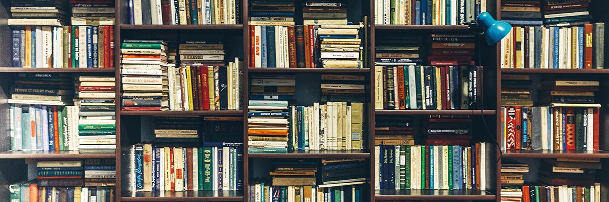 David Bookworm Popovich banner