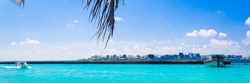 bahar3851's profile banner image