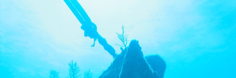 Scubafoot's profile banner image