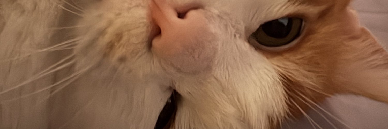 WiartAnne's profile banner image