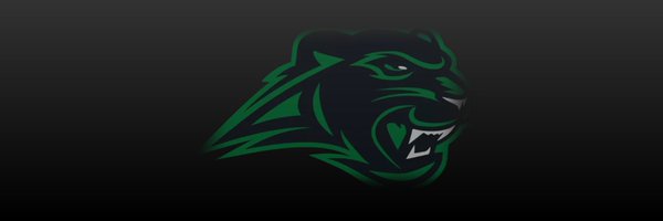 PPMSBoysHoops Profile Banner