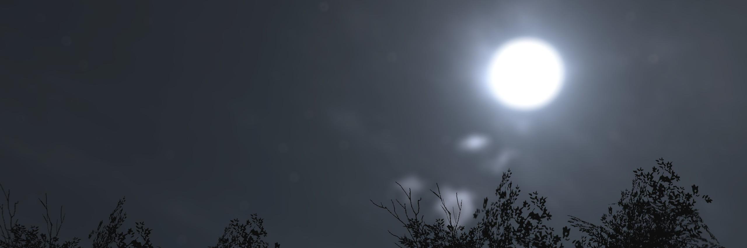 Braxen banner