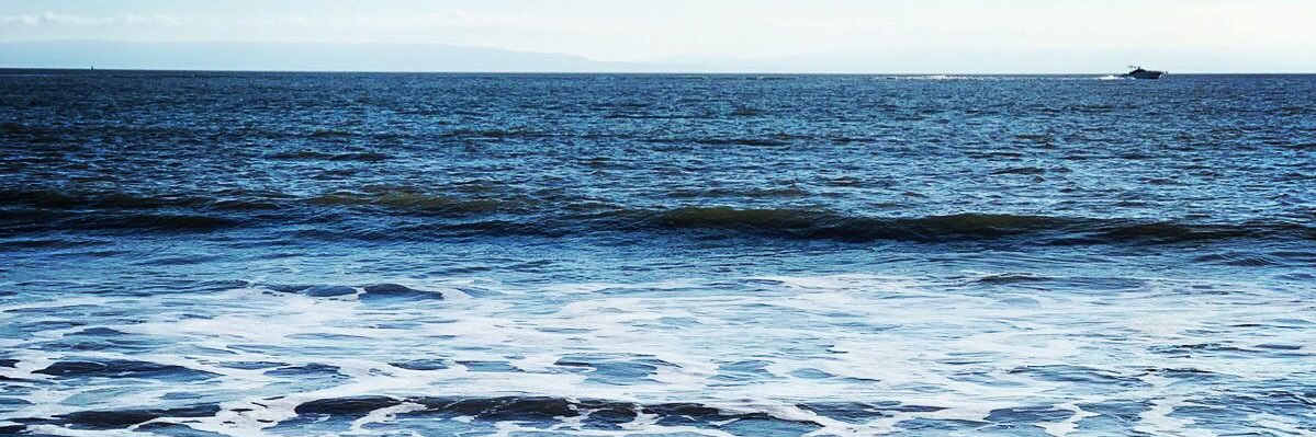 _AliShumon's profile banner image